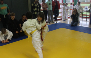 637b694e94632_IMG5377Copie.JPG
