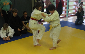 637b6b5565a48_IMG5378Copie.JPG